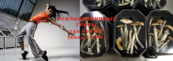 ГАЛЛЮЦИНОГЕННЫЕ ГРИБЫ Верея