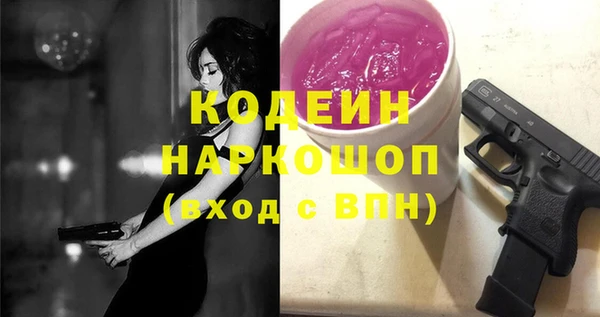 хмурый Бородино