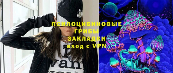 хмурый Бородино