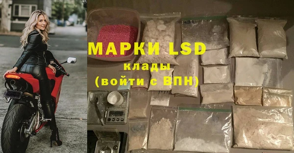 хмурый Бородино