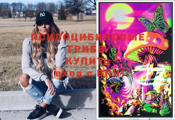 ГАЛЛЮЦИНОГЕННЫЕ ГРИБЫ Верея